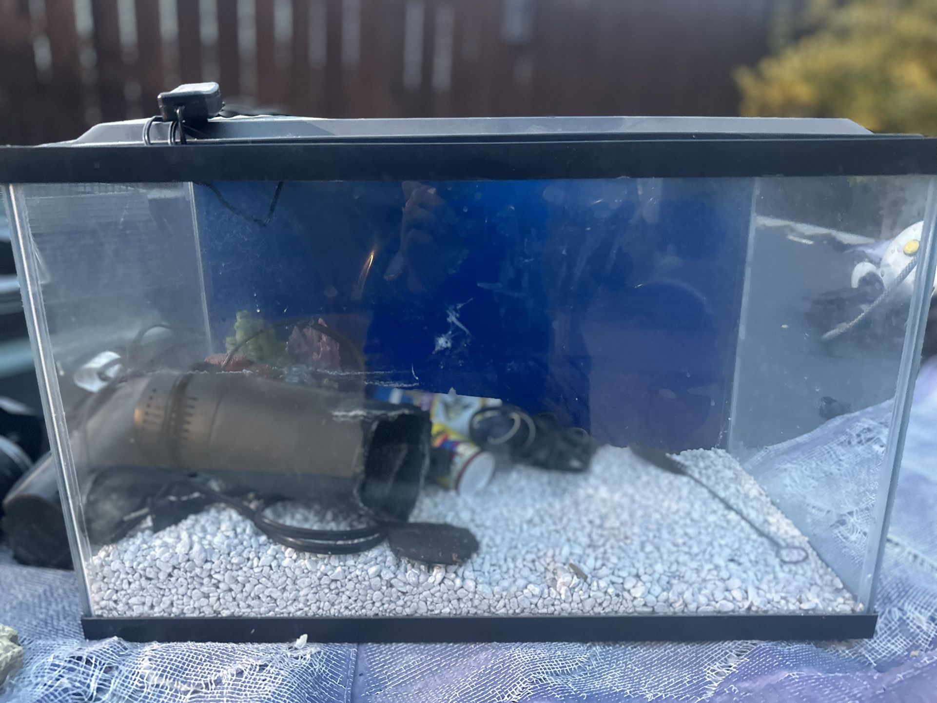 Medium Fish Tank
