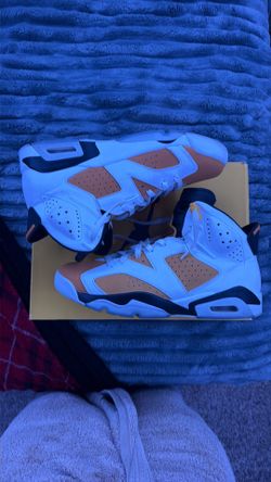 Air Jordan 6