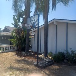 Basketball Hoop Free Pick Up Only
