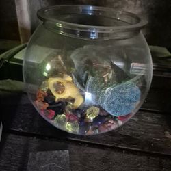 Fish Bowl 