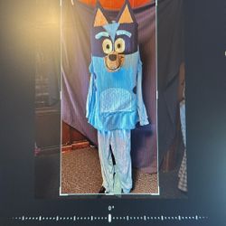 Bluey Costume. Fits Large Adult