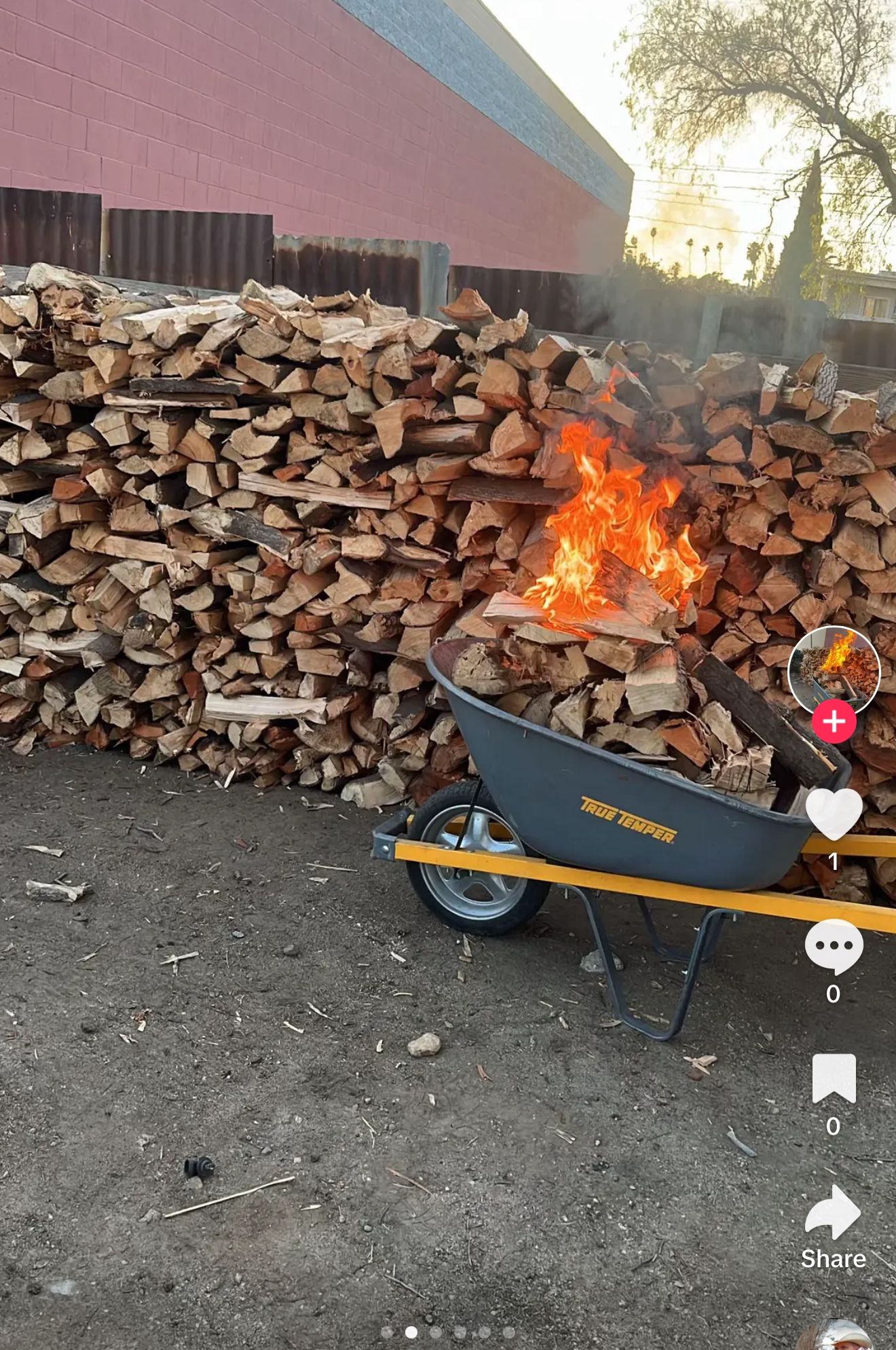 Firewood 