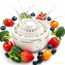 Fruit and vegetable purifier