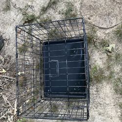Dog House