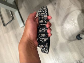dior belt
