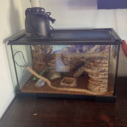 Terrarium fish tank With Heat Lamp
