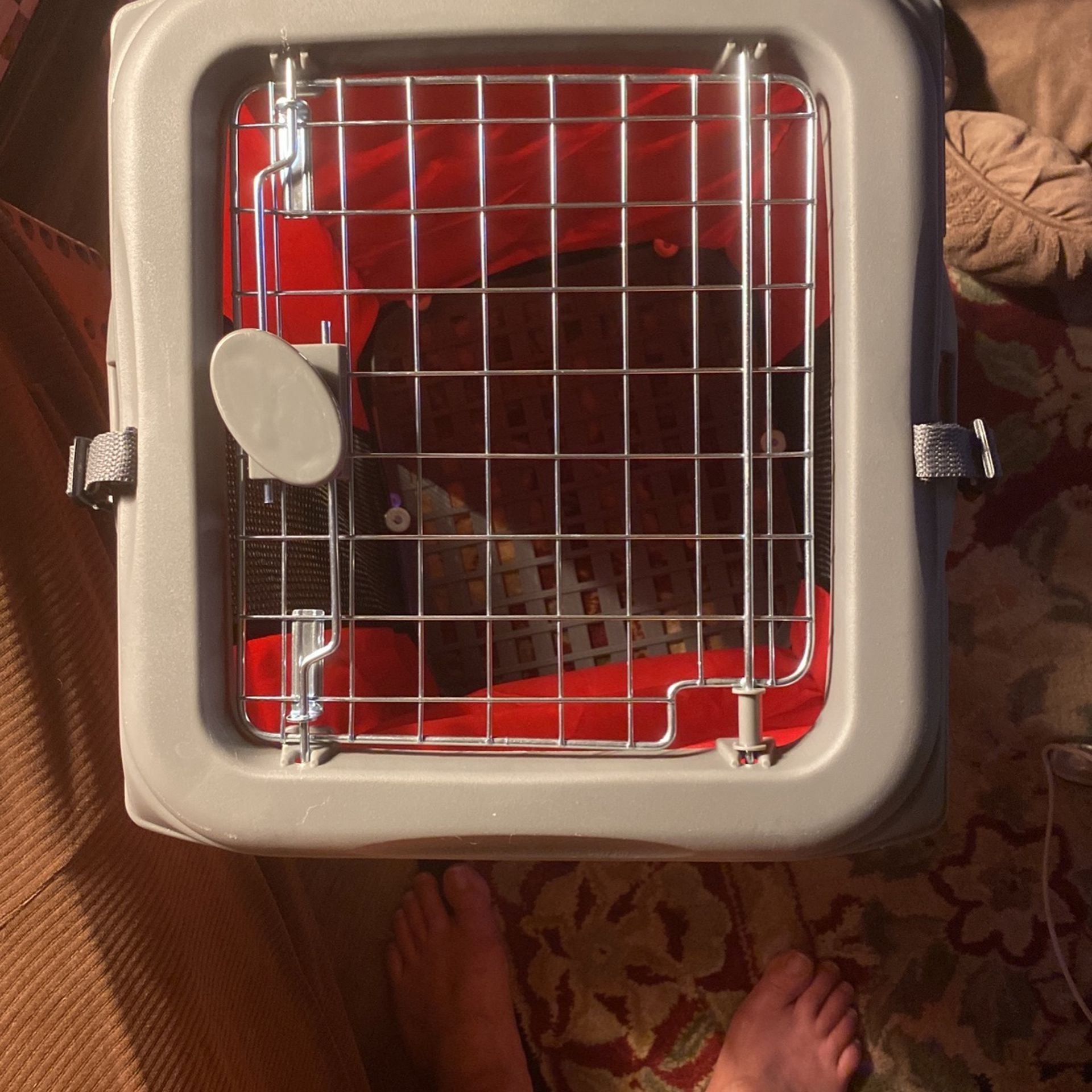 Dog Crate Small Pop Open Pet Crate