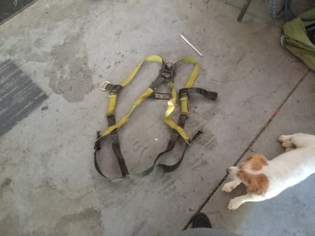 Stretched Harness