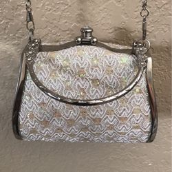 Beautiful Sparkly Purse 