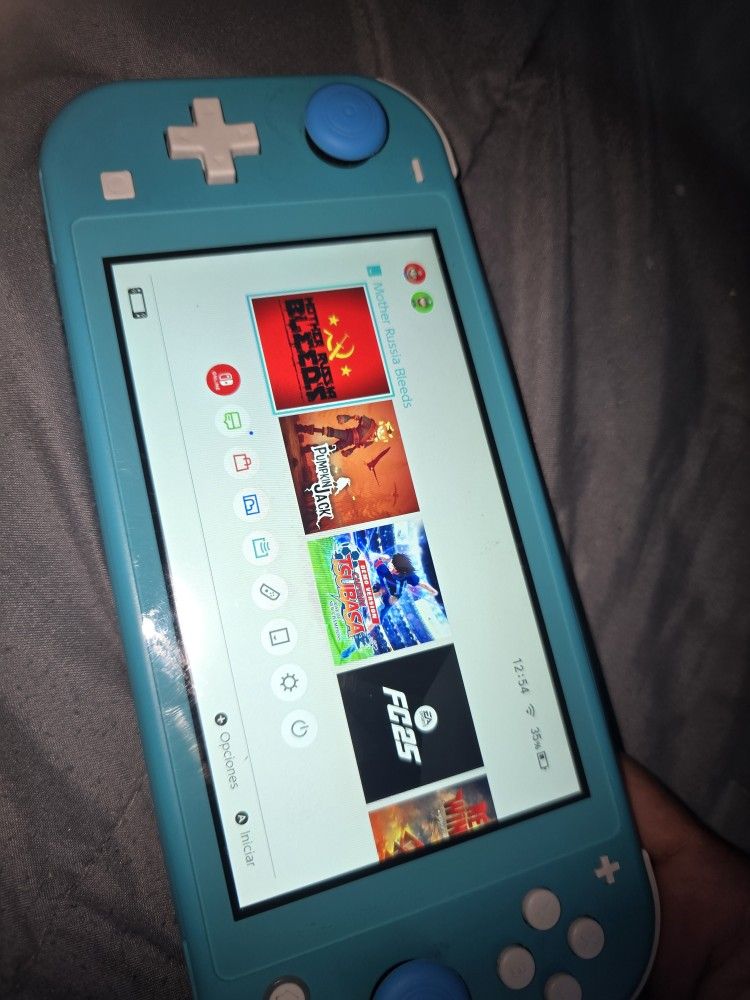 Nintendo Switch Lite 