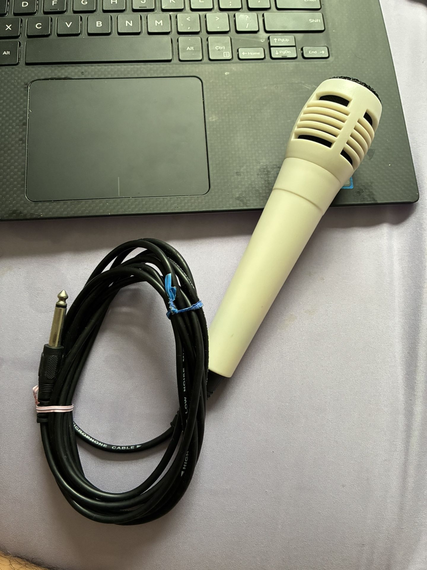 Karaoke Microphone