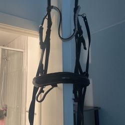 English Riding Bridle