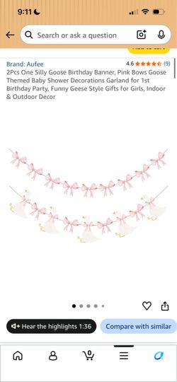 One silly goose decorations