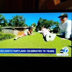 NEC EA234WMI 23" Widescreen LED-Backlit Desktop Monitor w/ Stand