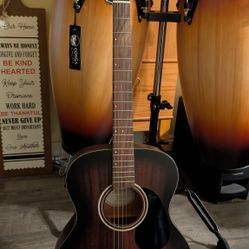 Mitchell Acoustic Guitar