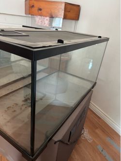 Reptile Enclosure