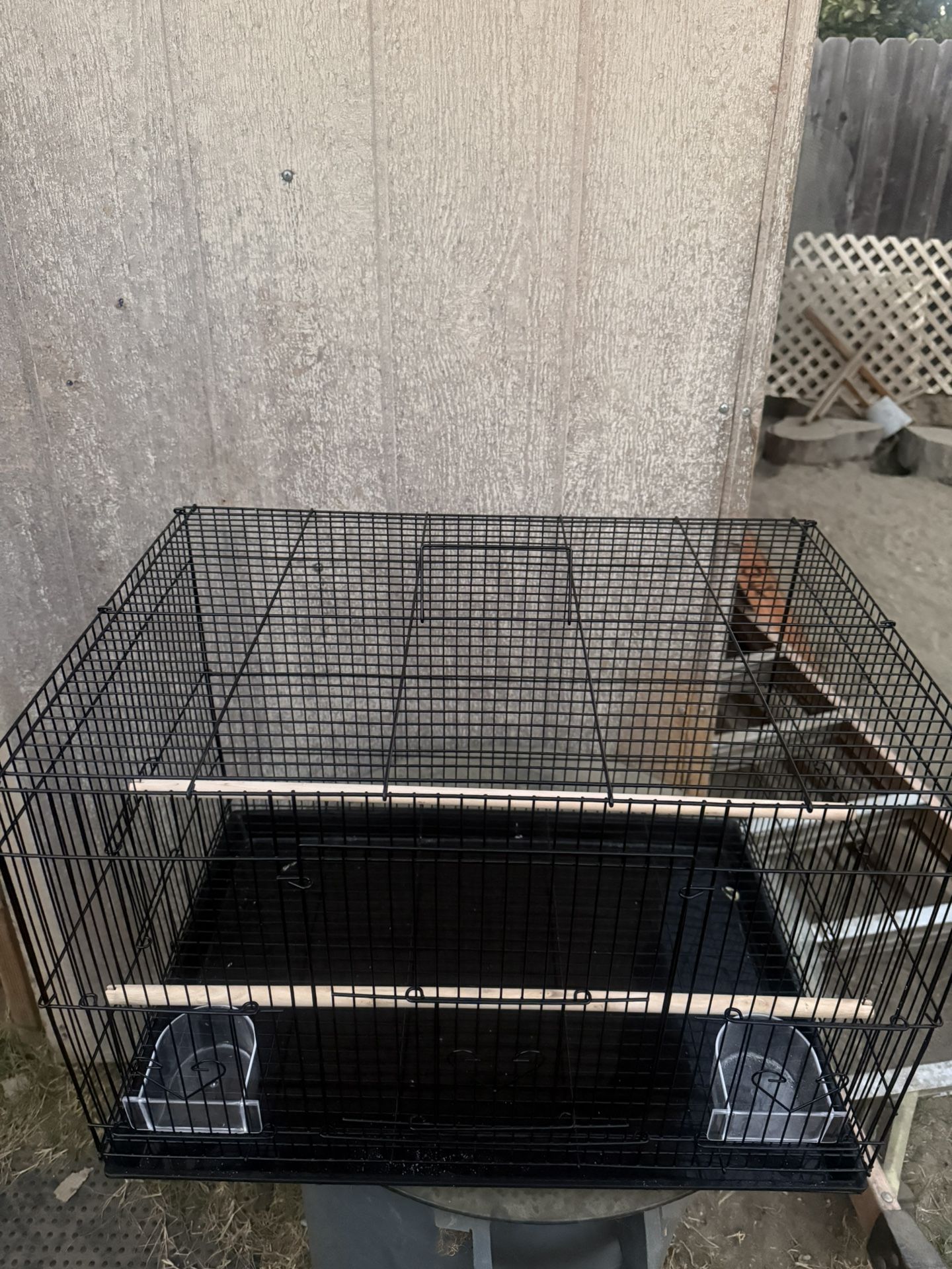 bird Cage