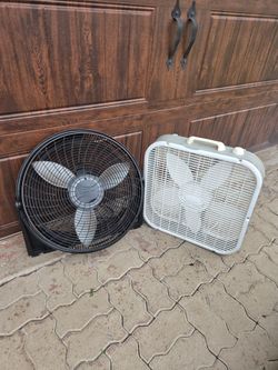 Two fans