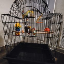 All Living Things Open Air Bird Cage, Toys, Bird Food
