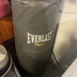 EVERLAST PUNCHING BAG