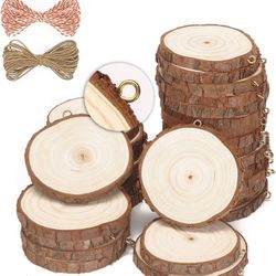Natural Wood Slices for Art & Craft