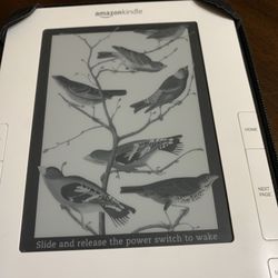 Amazon Kindle