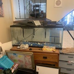 55 Gallon Fish Tank 