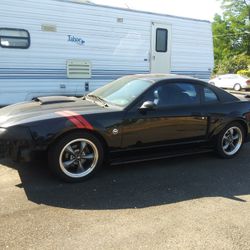 2004 Mustang 40th Anniversary