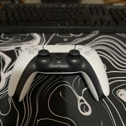 PlayStation 5 Controllers