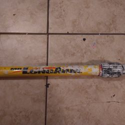 Mr Long Arm 16 Ft Painters Pole