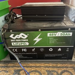 48 volt Lithium Ion Battery