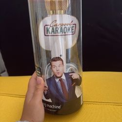 Car Karaoke Mic