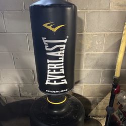 Everlast power core punching bag.