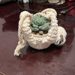 Fake Hanging Plant