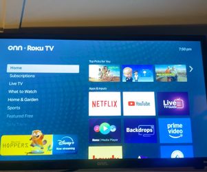 24 in Roku tv with remote