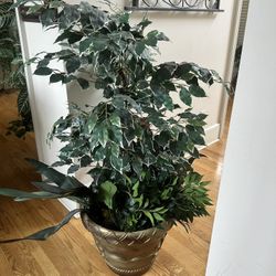 Tall Artificial Plant -SOUTH ATL/ Will Deliver  