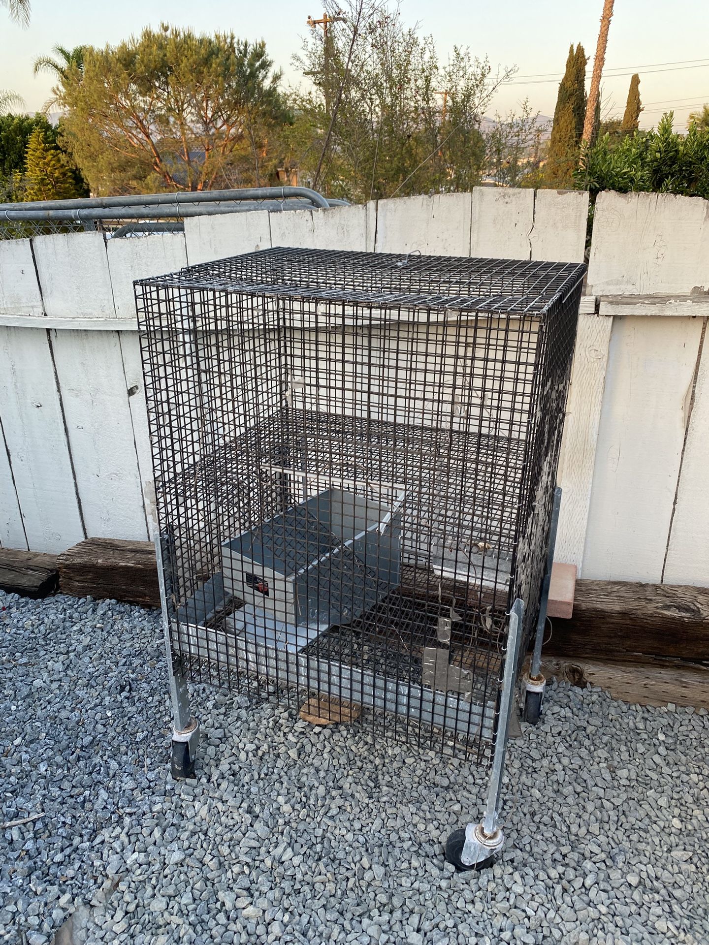 Rabbit or Bird Cage