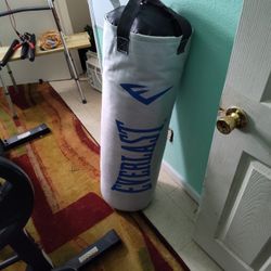 80 lb Heavy Training Bag & Training Gloves