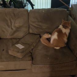 Small Loveseat Available