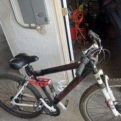 Mountain bike