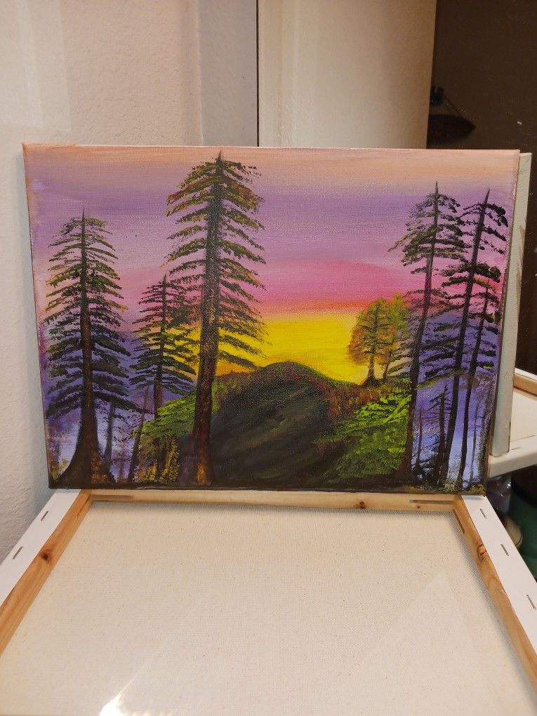 Pines In Sunset