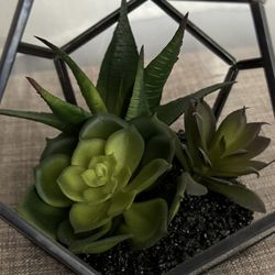Artificial Succulents 
