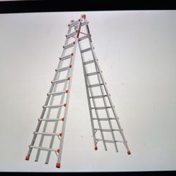 LADDER LITTLE GIANT