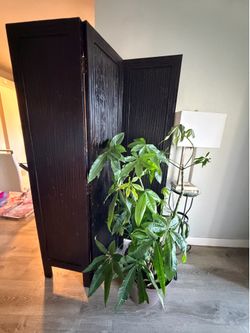 Authentic Z Gallerie Solid Wood 72” Folding Room Divider m/Privacy Screen – Black