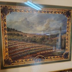 Beautiful Vineyard Picture 