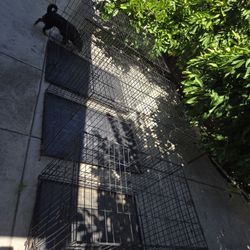 Dog Kennels