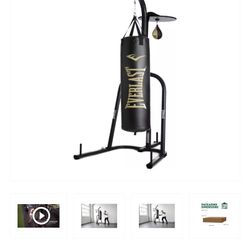 Everlast Punch Bag With Stand