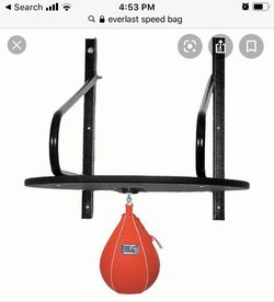 Everlast speedbag