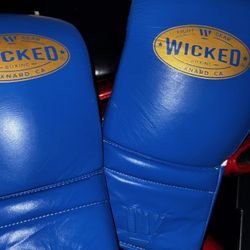 Wicked Boxing Gloves