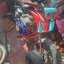 Mini Bike 